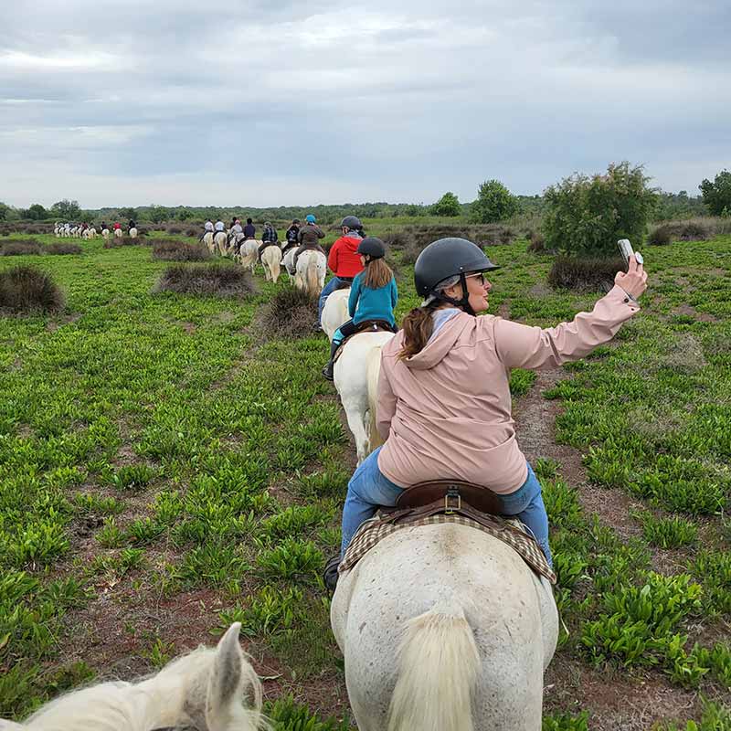 Team building à dos de cheval